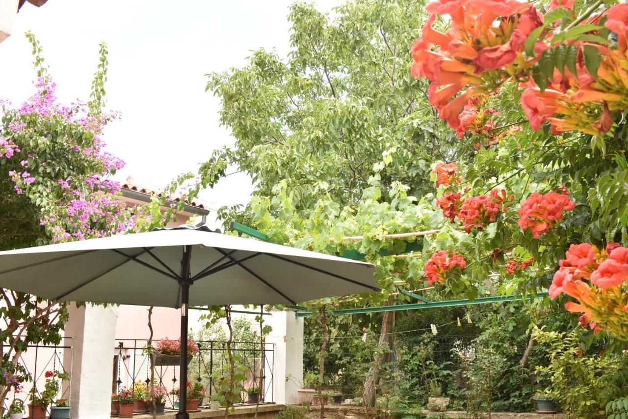 Holiday House Letizia Premantura Ngoại thất bức ảnh