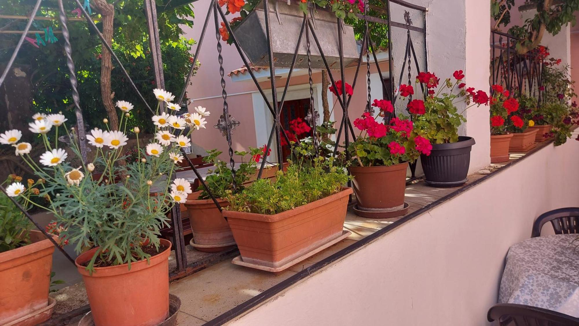 Holiday House Letizia Premantura Ngoại thất bức ảnh